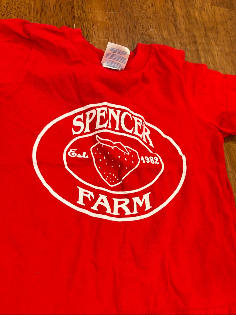 Port and Company Red Kids Strawberry Farm Tee size 2T